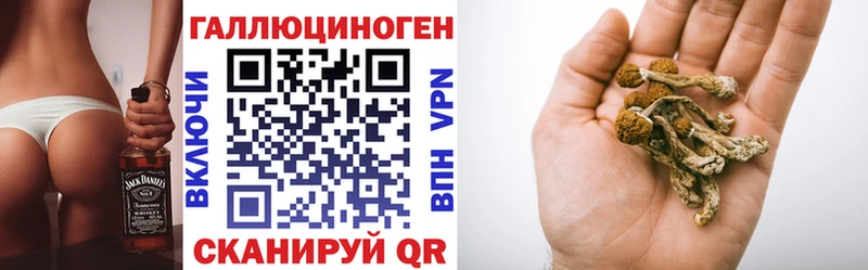 магазин    Верхняя Салда  Галлюциногенные грибы мицелий 