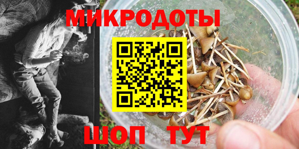 Псилоцибиновые грибы GOLDEN TEACHER Верхняя Салда