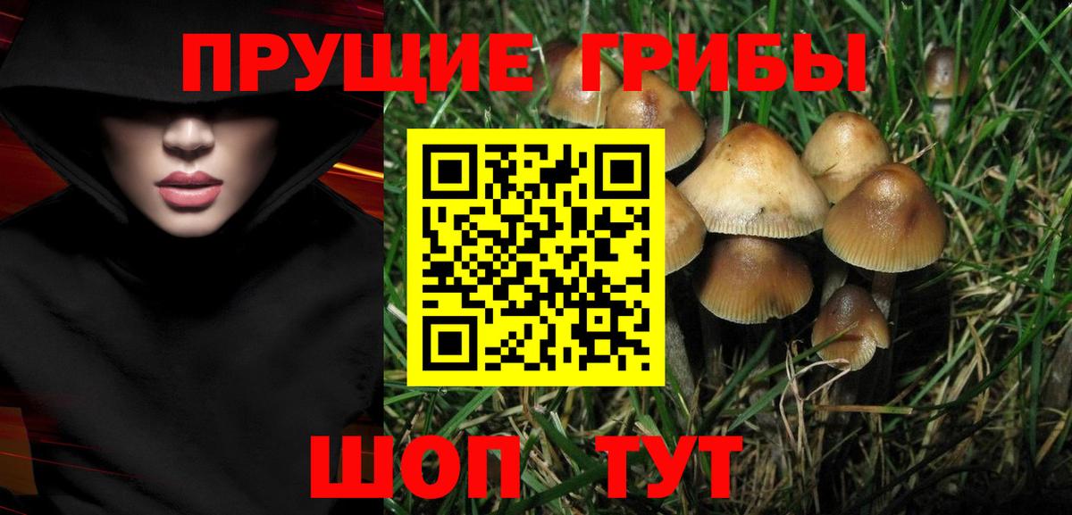 Верхняя Салда  Галлюциногенные грибы MAGIC MUSHROOMS  Вход с VPN 